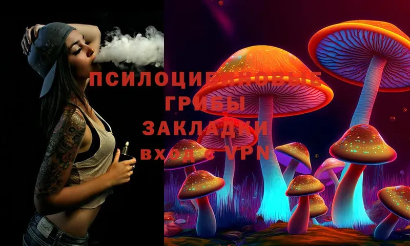 Галлюциногенные грибы Magic Shrooms  Комсомольск-на-Амуре 